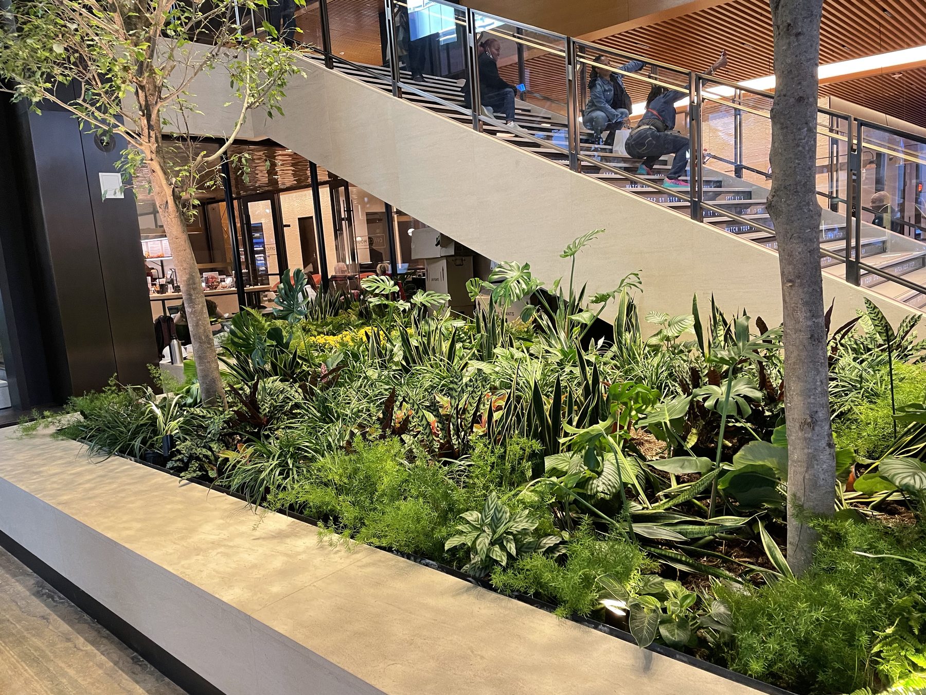 An interior atrium with hanging plants and a lush planting bed of tropical foliage beside a staircase.