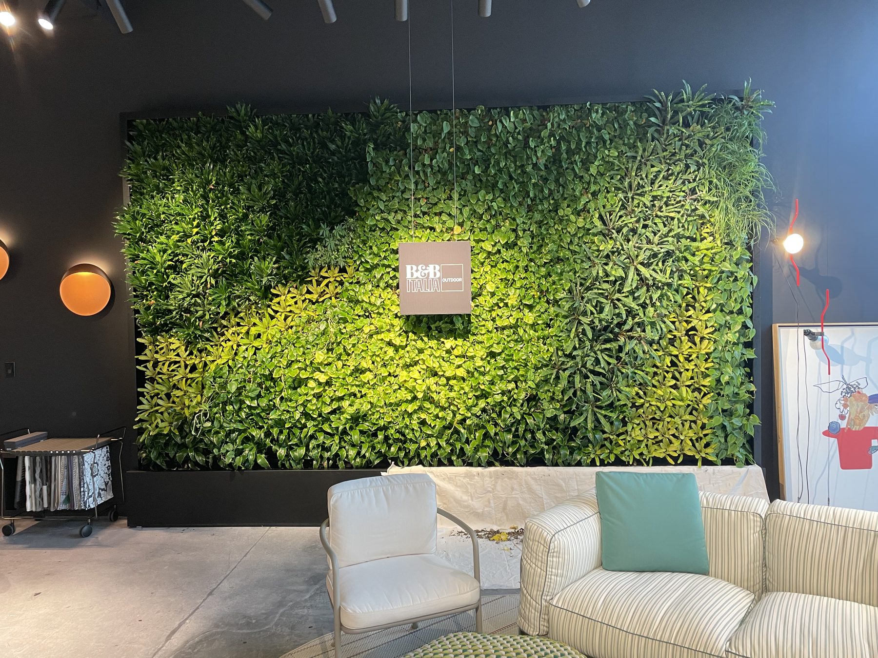 A large interior living wall of mixed green plants set behind a lounge seating area.
