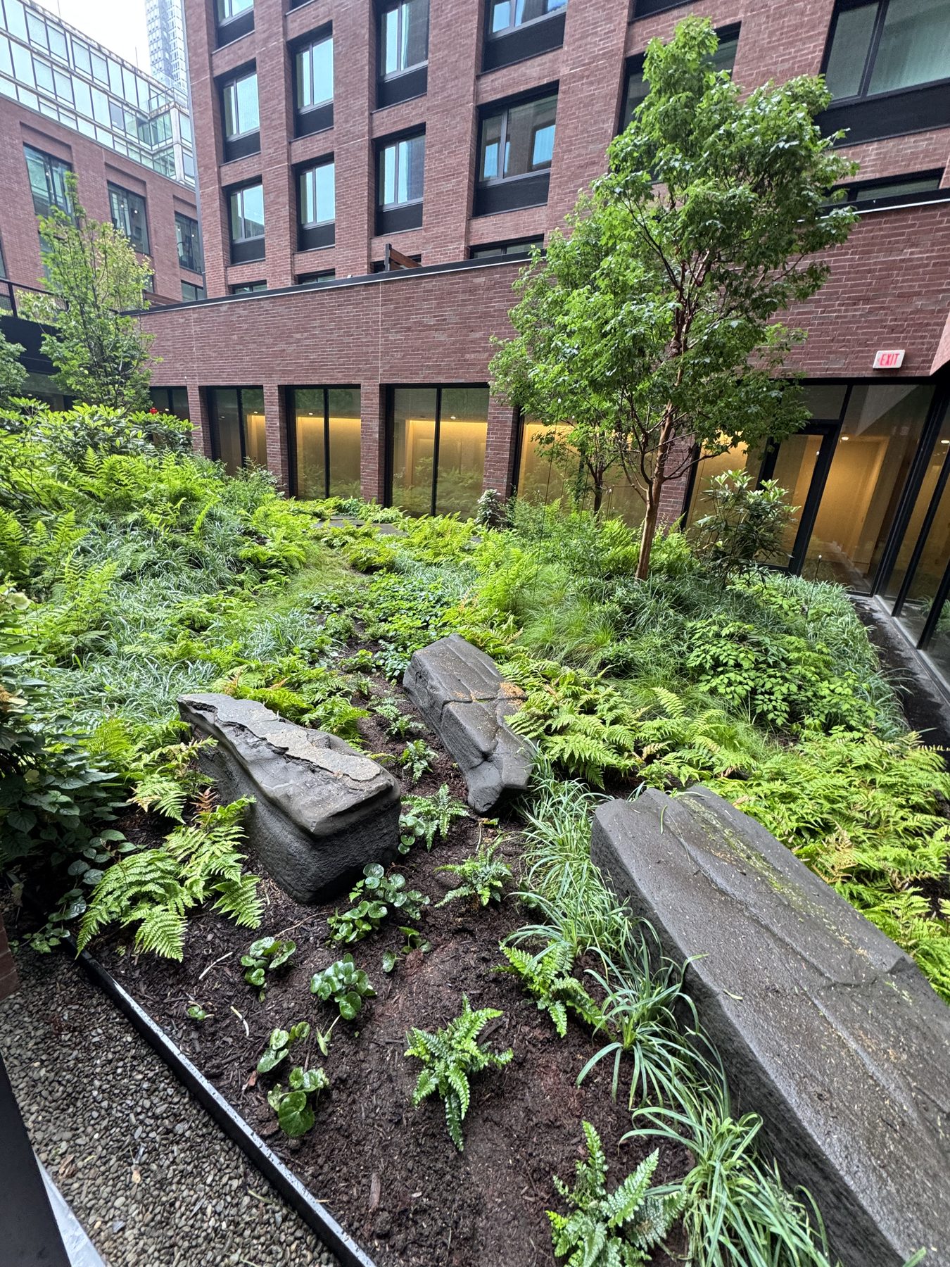 A sunken garden of ferns and conifers with large stone slab benches.